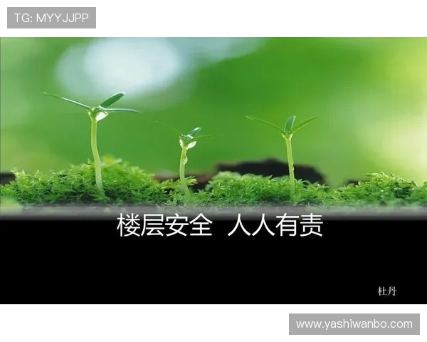 J9九游网站登录安全保障措施，确保你的账号信息安全无忧